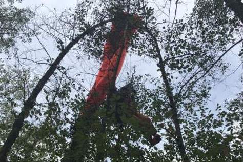 spadochron na drzewie - Straż Pożarna Konin