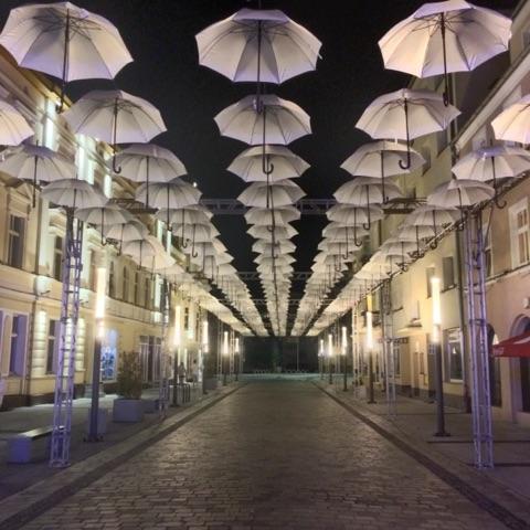 parasolki pilskie (1)