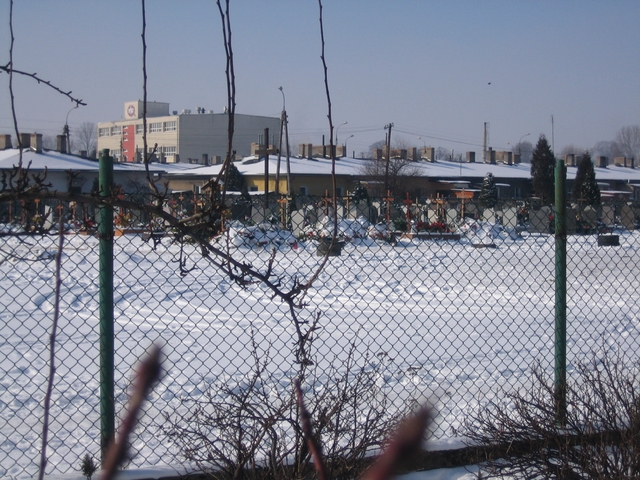 Cmentarz w Gnieźnie - za blisko - Rafał Muniak