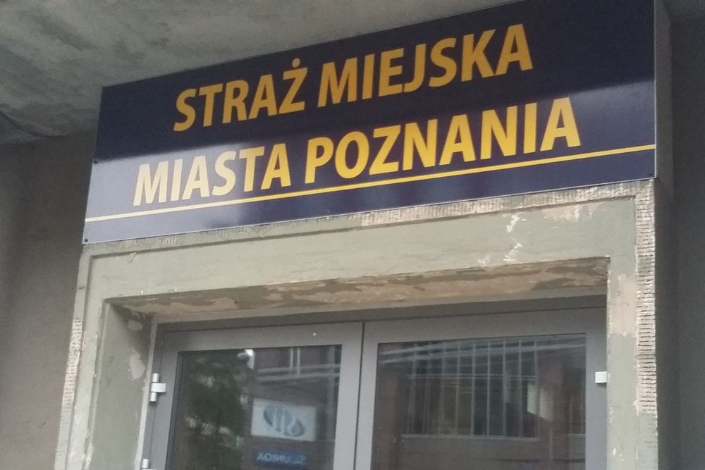 straz miejska głogowska - Szymon Mazur