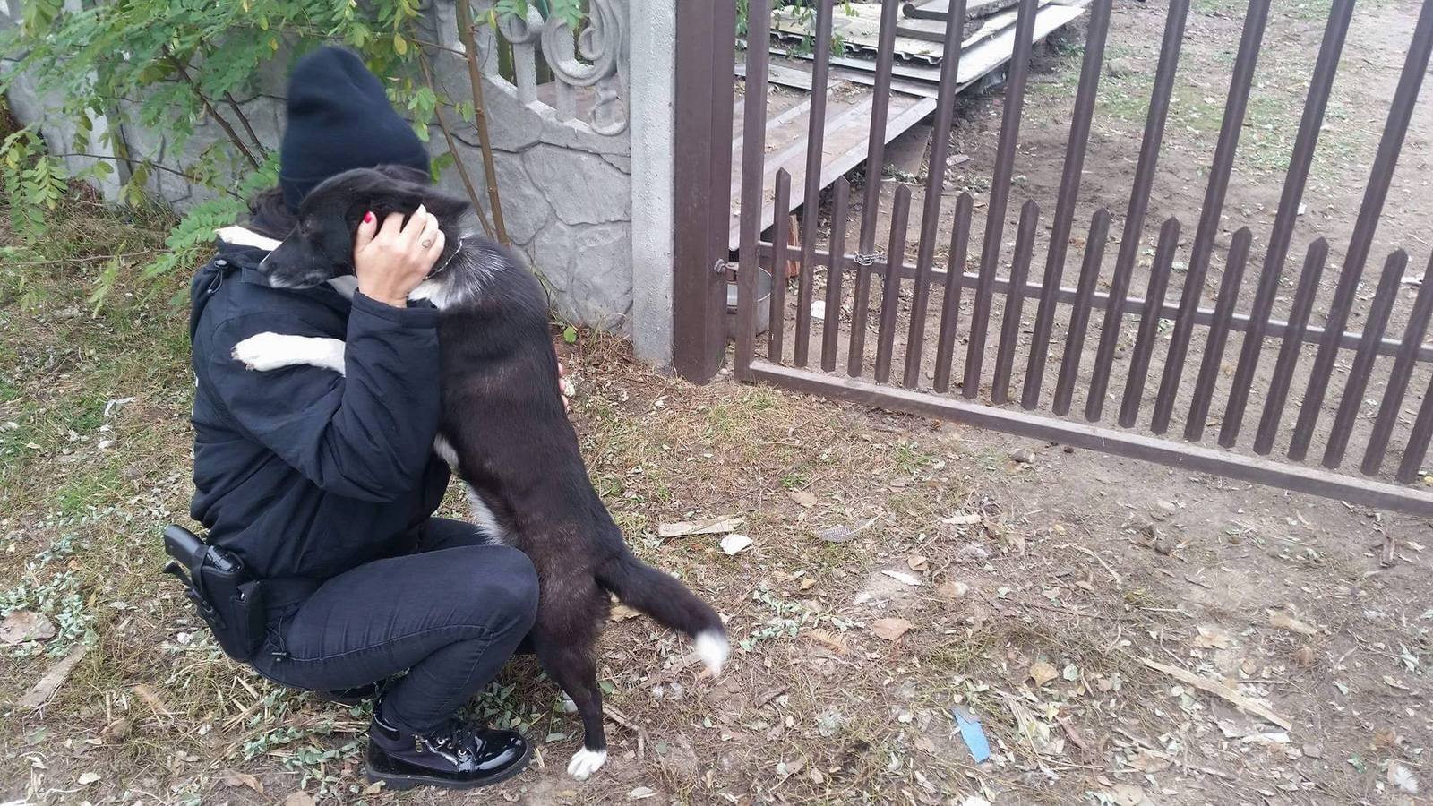 nielegalna hodowla1 - Help Animals Kalisz