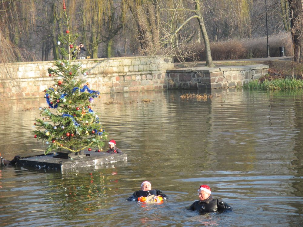 choinka2 - Danuta Synkiewicz