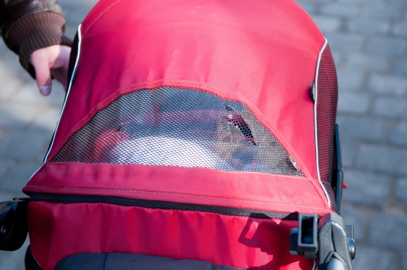 Wózek trafiony kawałkiem lodu - Waldemar Stube