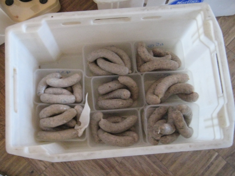 Certyfikacja wędlin 2010 - Adam Michalkiewicz