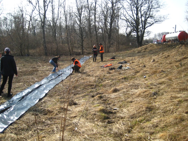 ratujmy żaby6 - Agnieszka Maciejewska