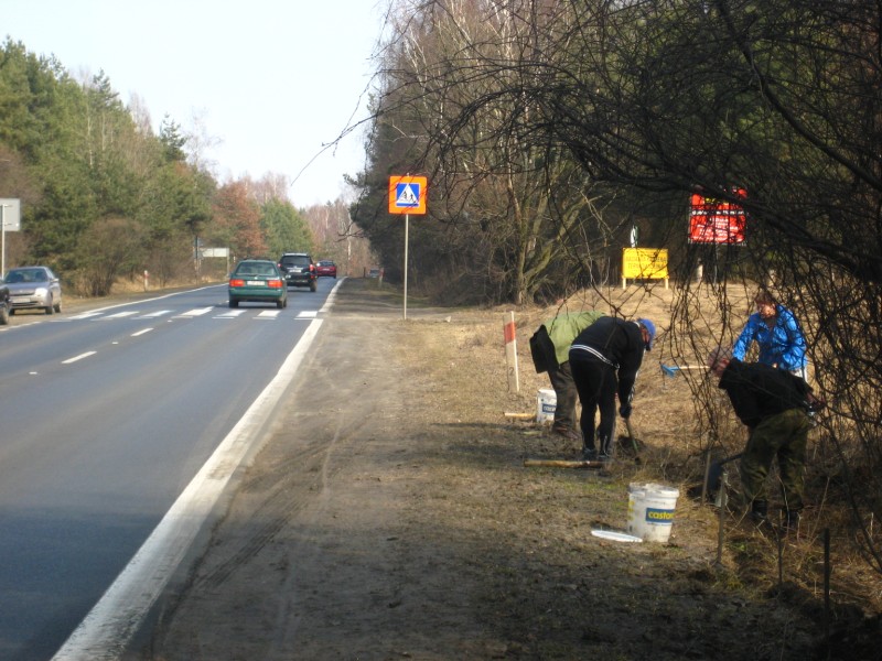 Agnieszka Maciejewska