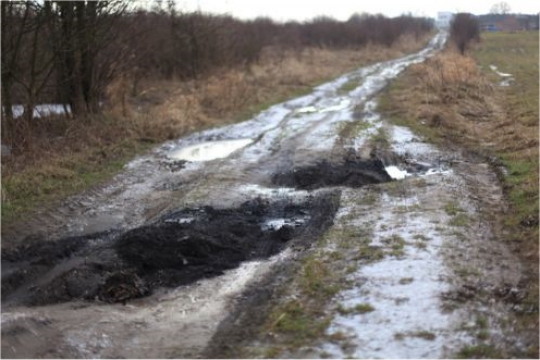 Żwir na drodze - straż miejska - Straż Miejska Miasta Poznania