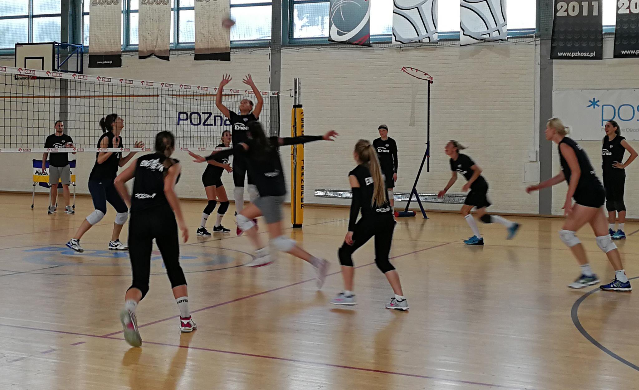 enea energetyk poznań siatkówka - Enea