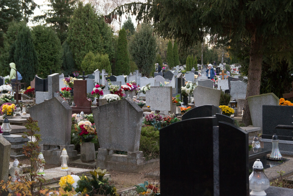 cmentarz 1 listopada wszystkich świętych zaduszki - Karolina Rej