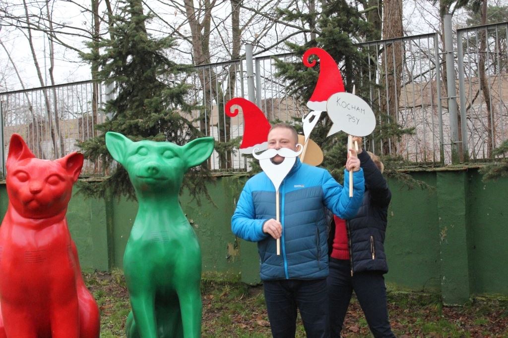 Elfy robią selfie akcja karma dla zwierząt - Schronisko dla zwierząt w Poznaniu