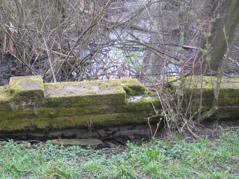 Płyty nagrobne - macewy - Jacek Butlewski