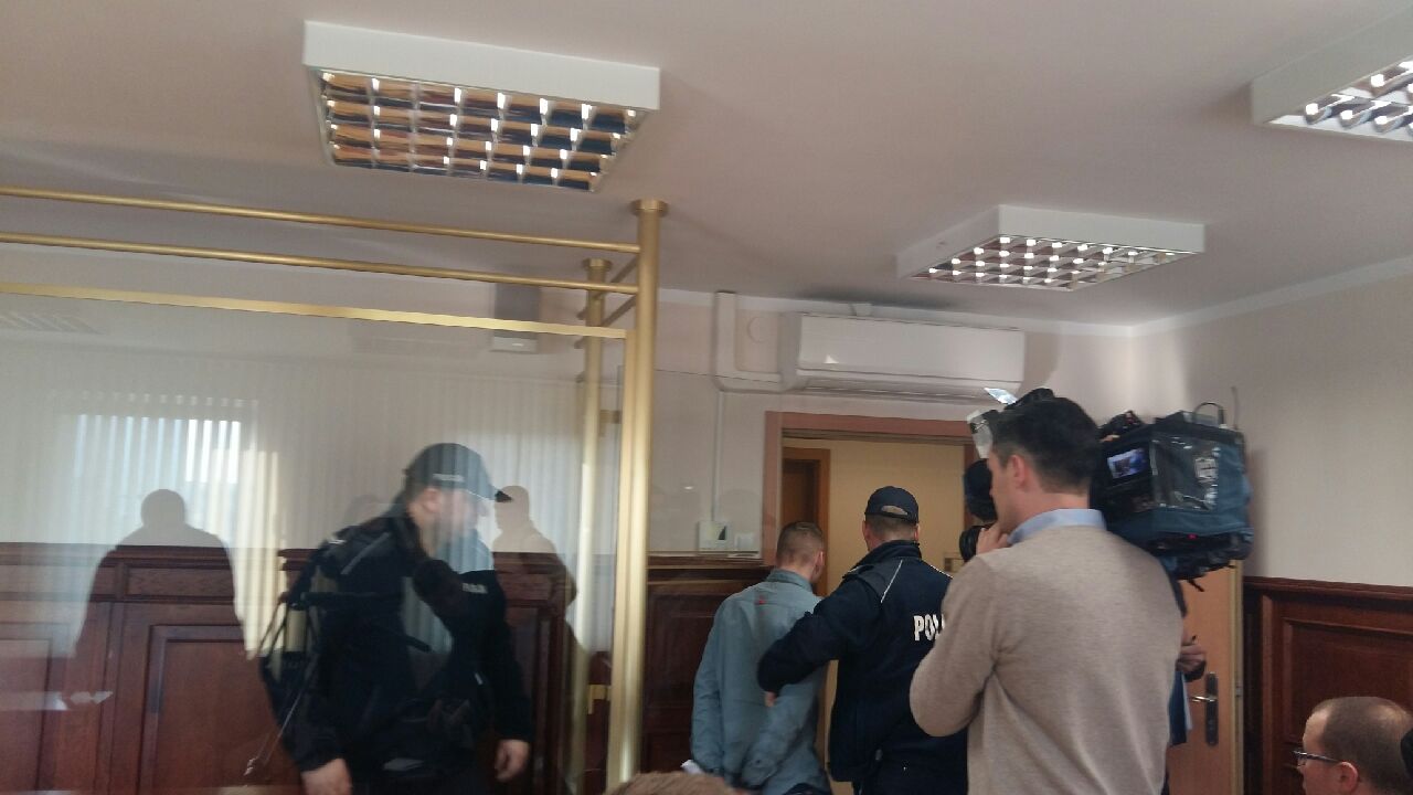 nozownik kornik - Magdalena Konieczna