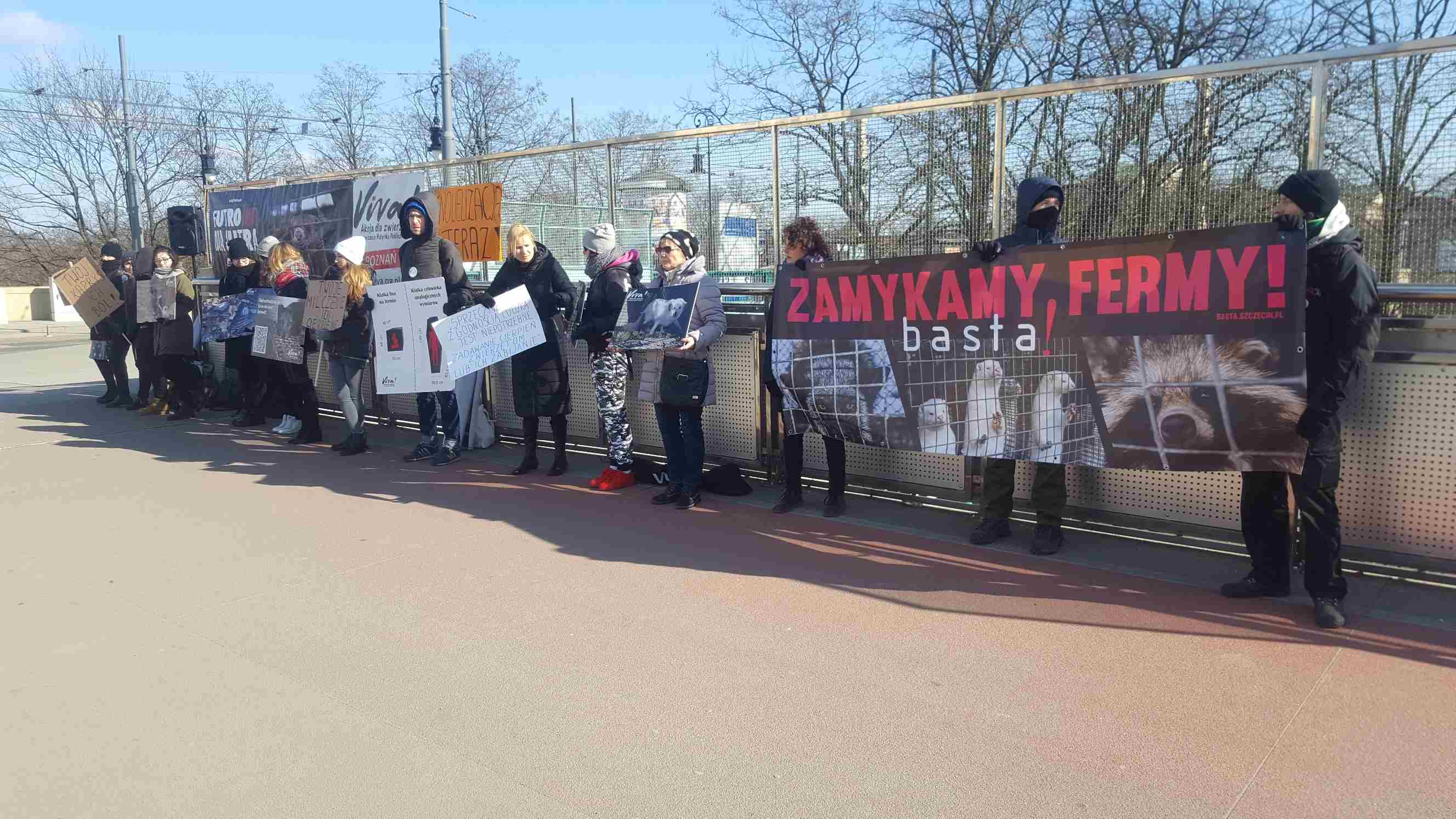 pikieta obrońców zwierząt teatralny poznań viva - Michał Jędrkowiak