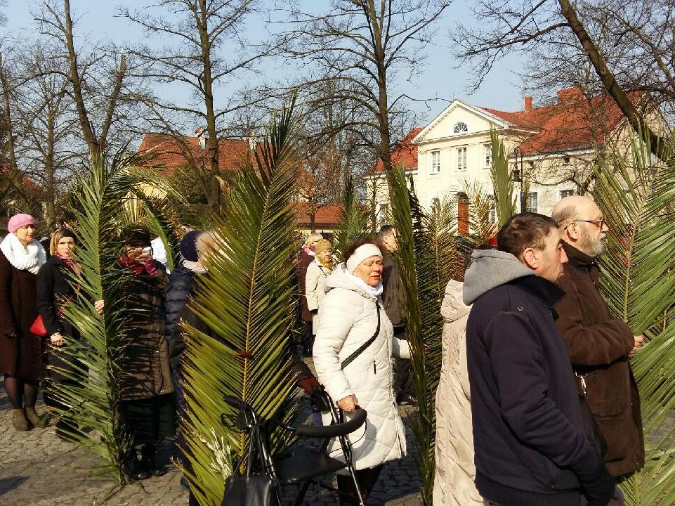 niedziela palmowa katedra 2018 - Magdalena Konieczna