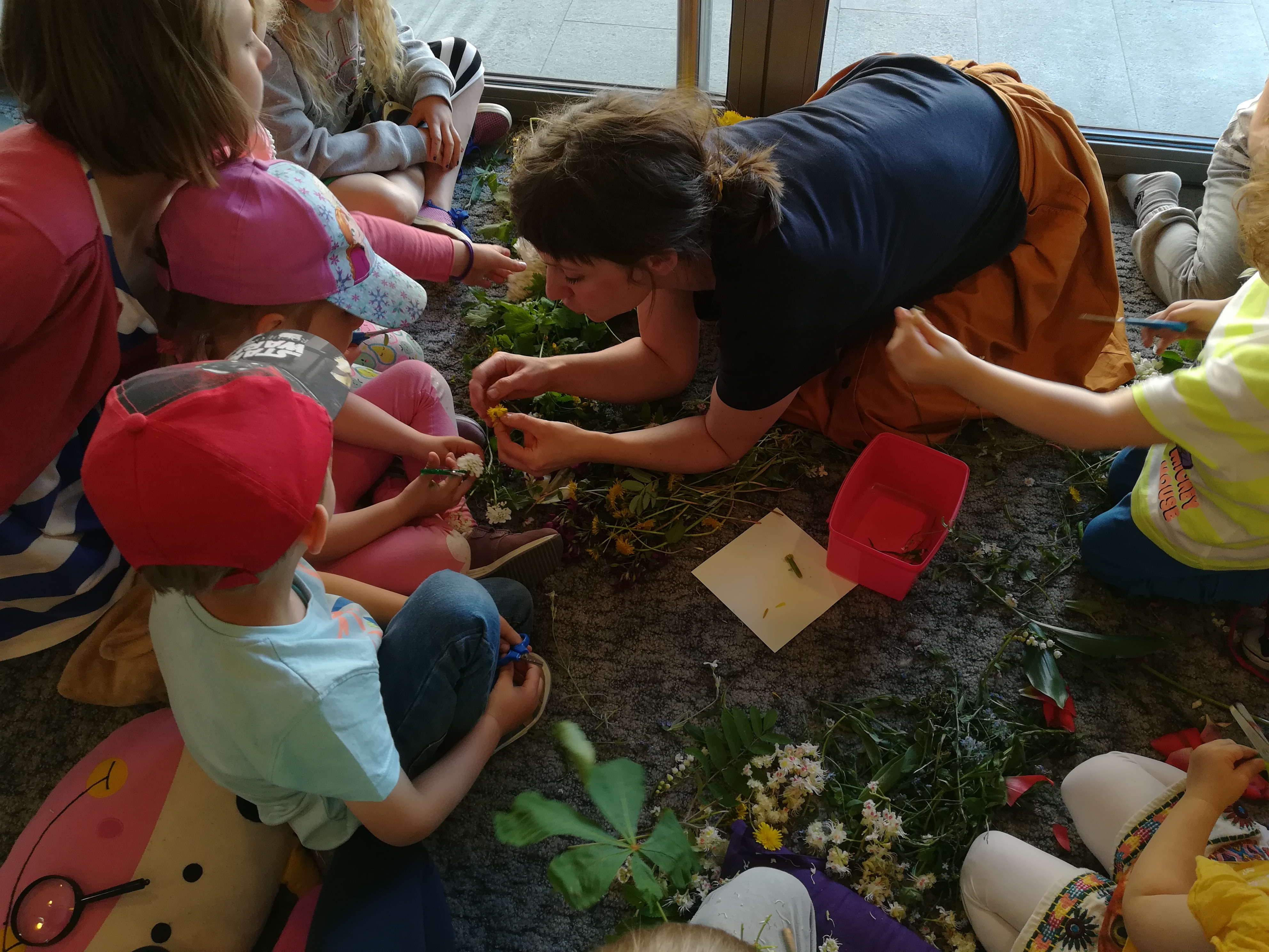 raczynscyglowne - Sandra Soluk