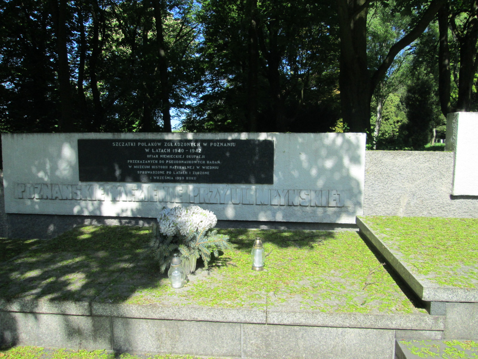 Aleksandra Pietrowicz