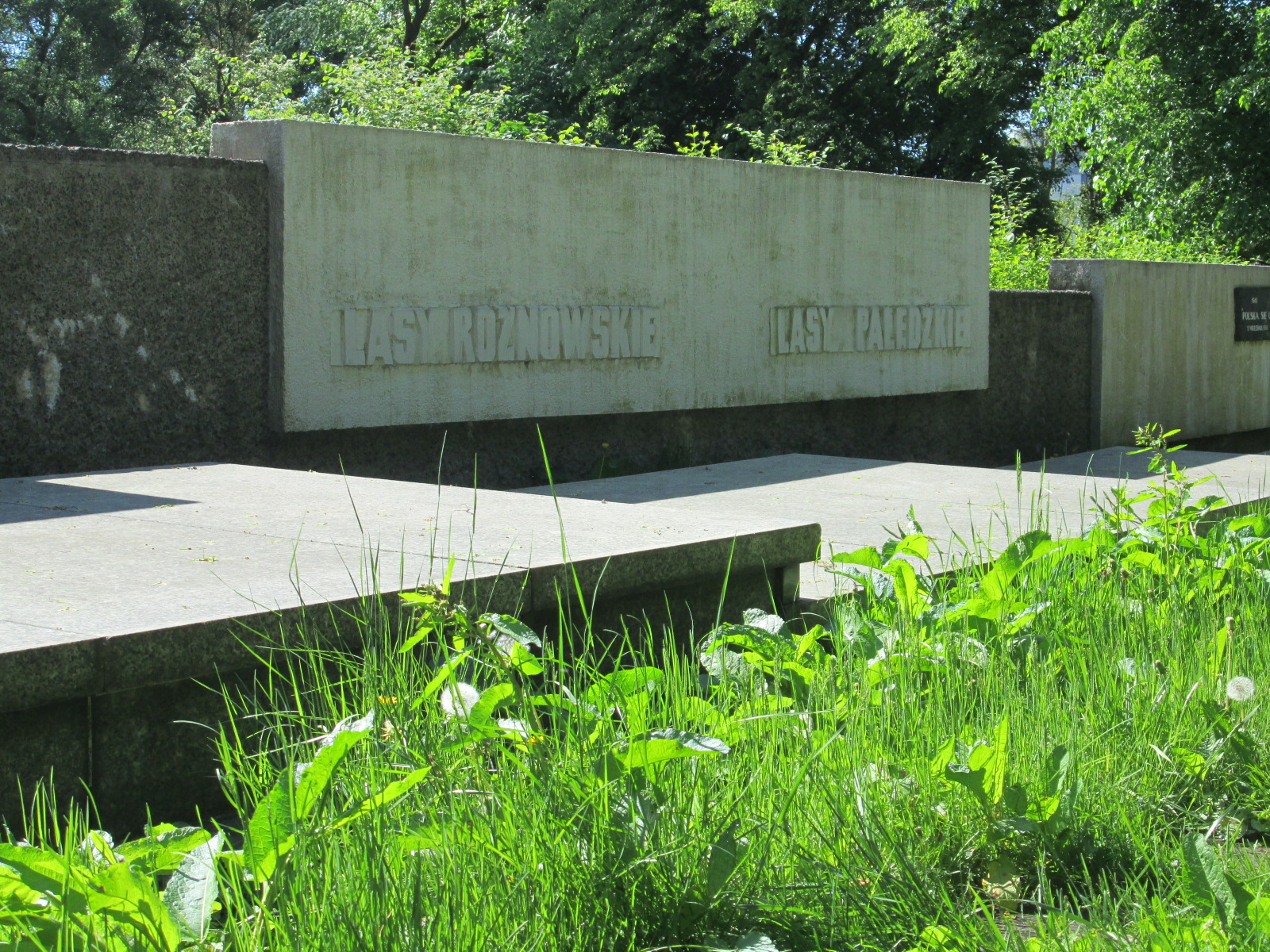 Aleksandra Pietrowicz