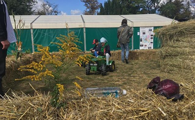 zniwa szreniawa 2018 - Michał Jędrkowiak