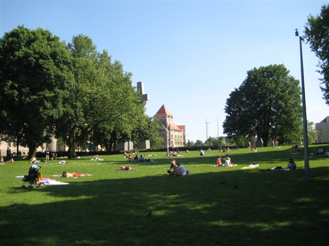 Aleksandra Włodarczyk