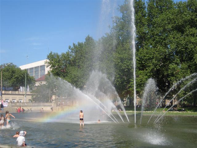 Aleksandra Włodarczyk