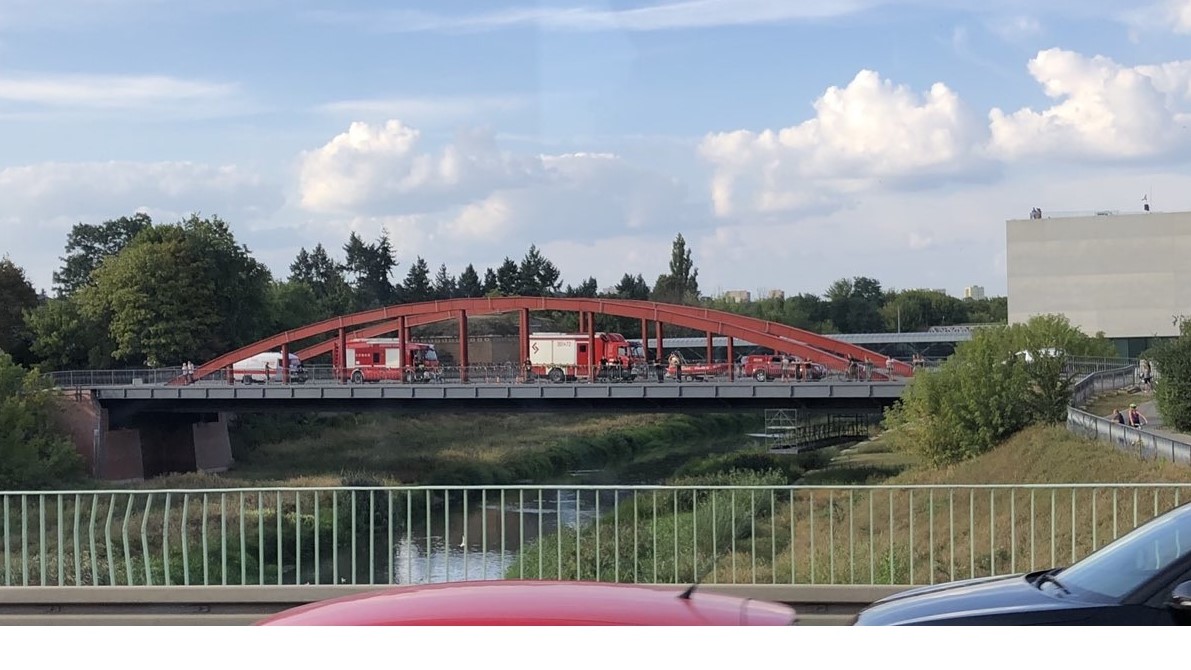 zanieczyszczenie cybina śnięte ryby - twitter: @panwiewior1