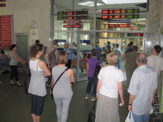 Urząd Miejski - kolejka po zaświadczenie - Adam Michalkiewicz