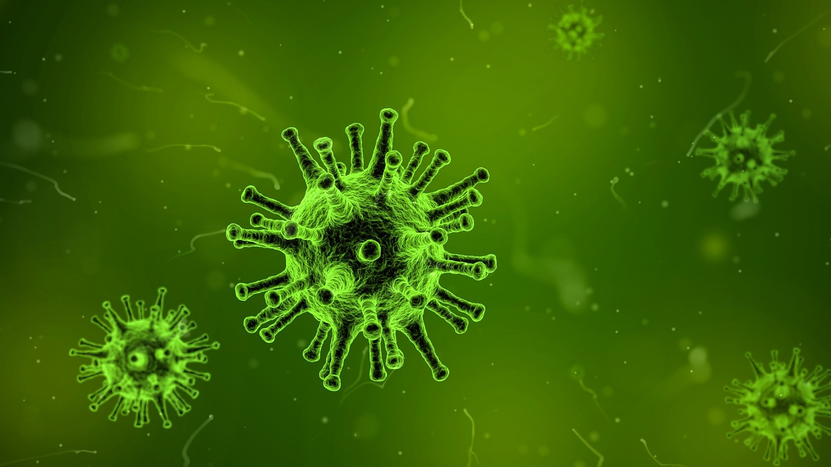 grypa wirus - pixabay/qimono