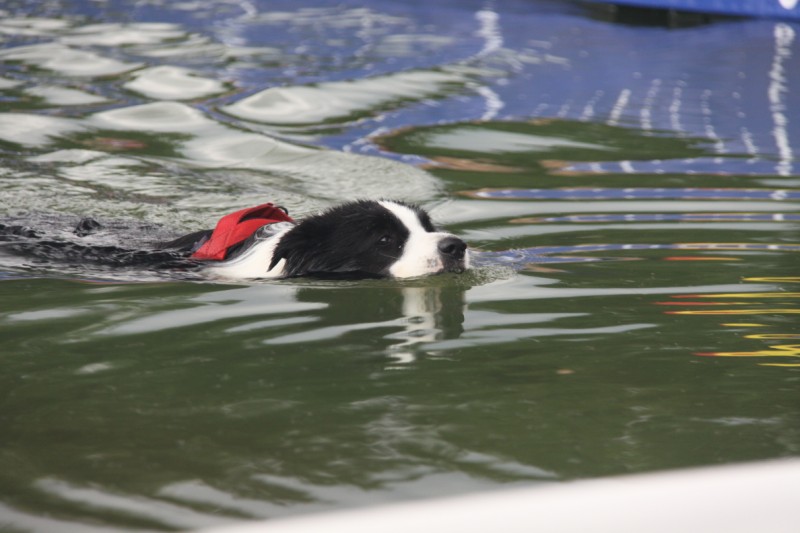 Grzegorz Maciejewski