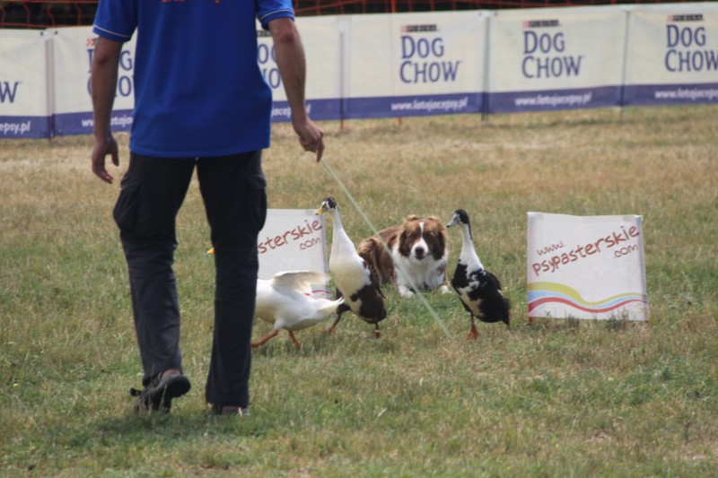 Grzegorz Maciejewski