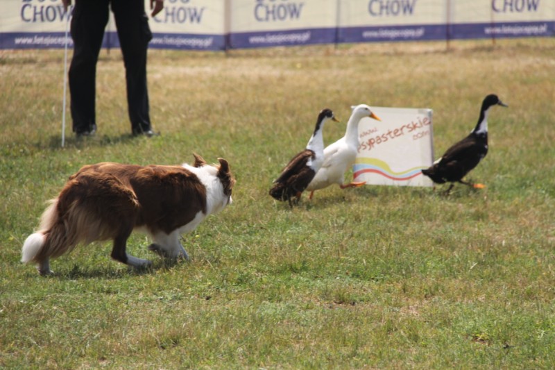 Grzegorz Maciejewski