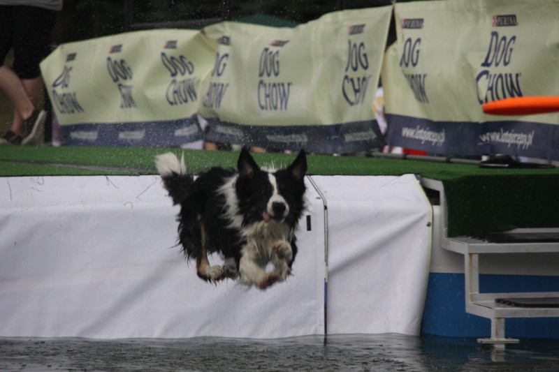 Grzegorz Maciejewski