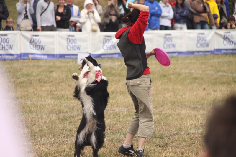 Grzegorz Maciejewski