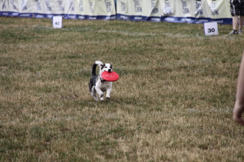 Grzegorz Maciejewski