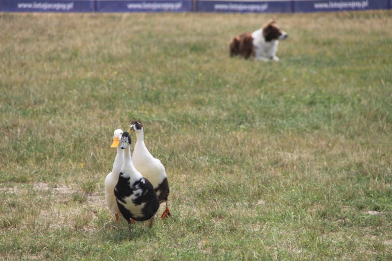 Grzegorz Maciejewski