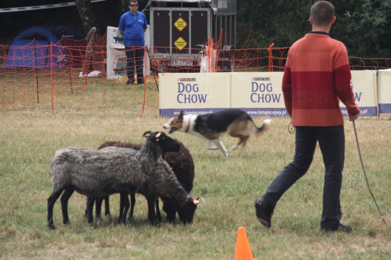 Grzegorz Maciejewski