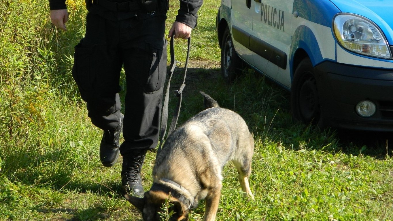 policja policjant pies - pila.policja.gov.pl