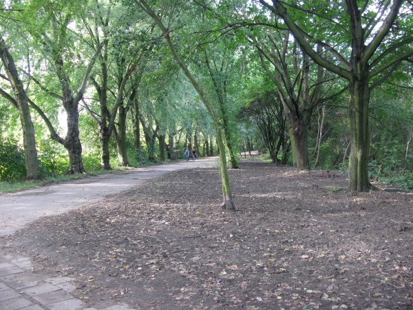 Sołacz - Anna Sochacka