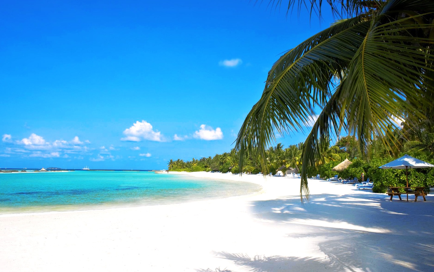 plaża w tropikach - Fotolia