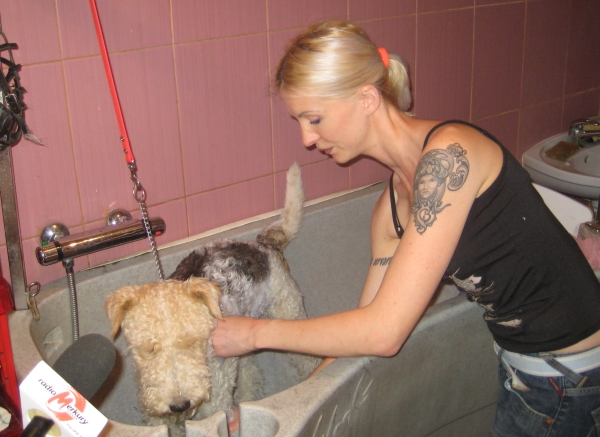 SPA dla  psa - Wojciech Chmielewski