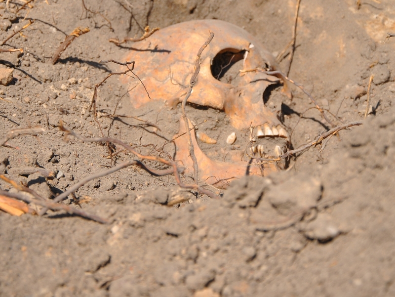 Groby odnalezione podczas budowy ronda w Grodzisku - UMiG Grodzisk Wlkp.