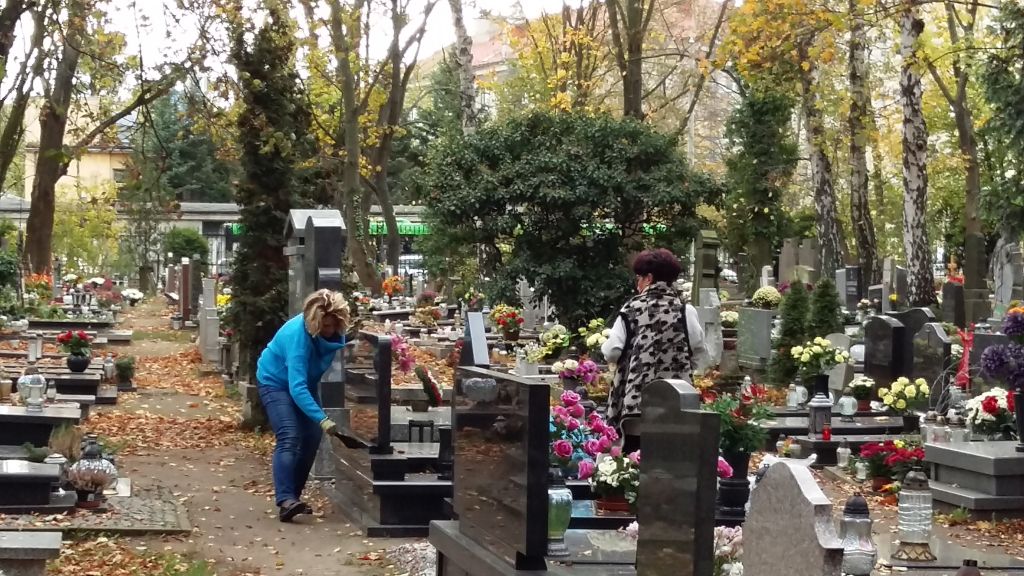 sprzątanie grobów cmentarz - Magda Konieczna