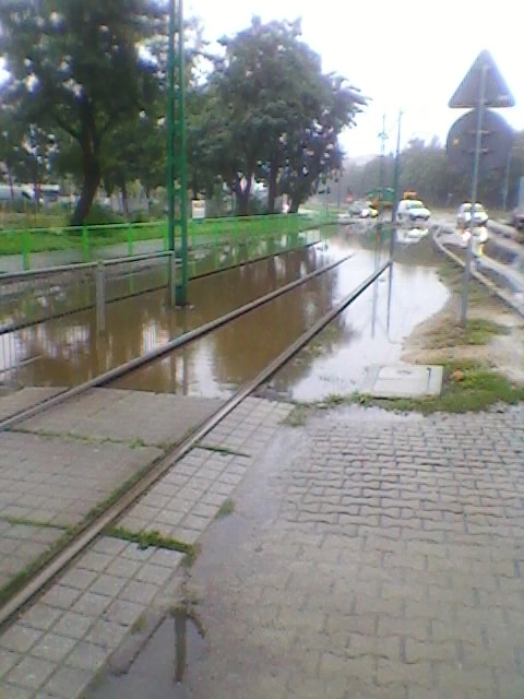 Zalane torowisko - Jeleniogórska - Jacek Butlewski