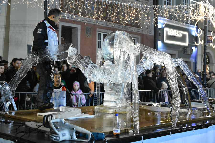 festiwal lodowych rzeźb poznań  - Wojtek Wardejn