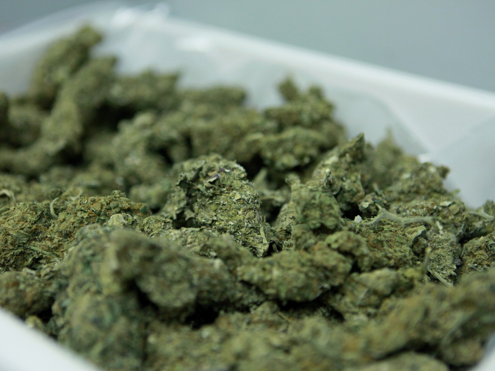 176 kilogramów marihuany  - Wielkopolska Policja 