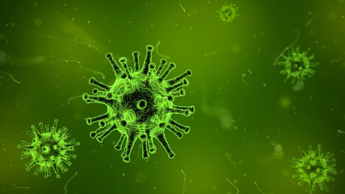 koronawirus wirus - Pixabay