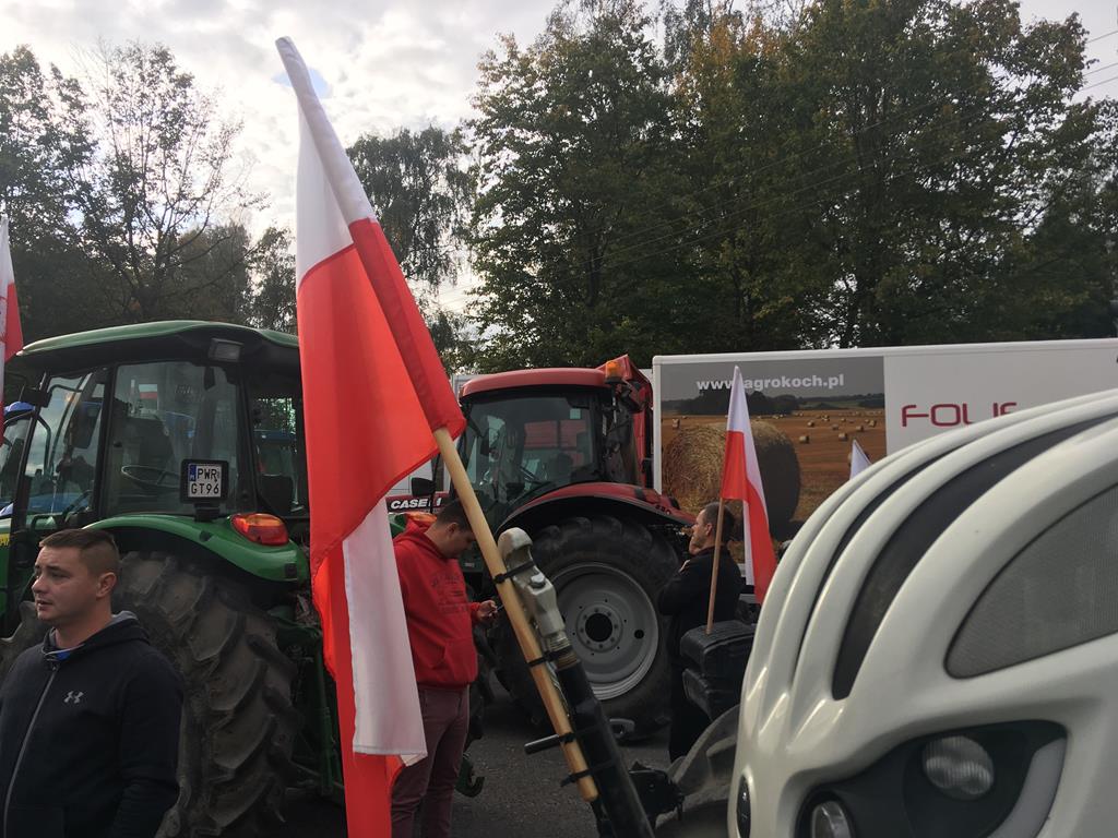 Rafał Regulski