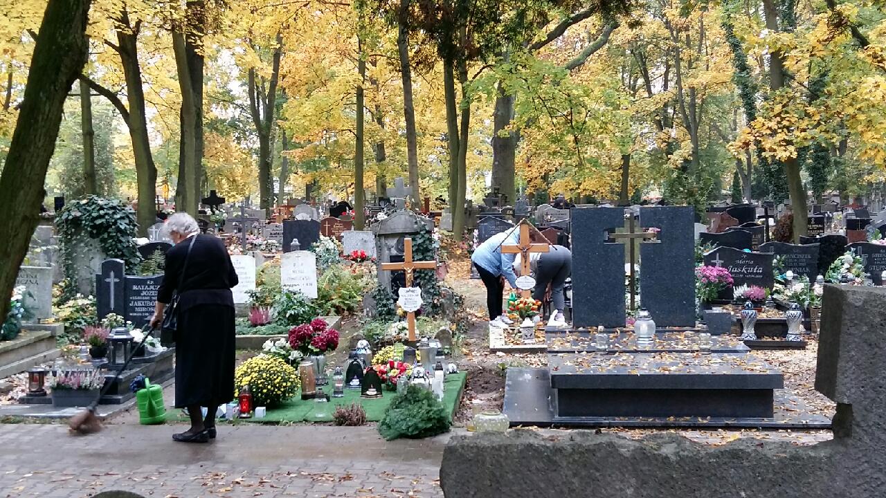 cmentarze wszystkich świętych - Magdalena Konieczna
