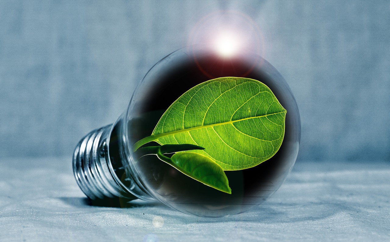 zielona energia stock ekologia - Pixabay
