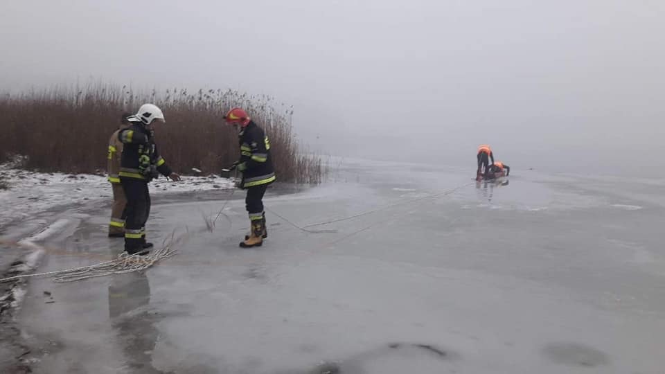 ratowanie psa lednogóra jezioro - Ochotnicza Straż Pożarna w Łubowie