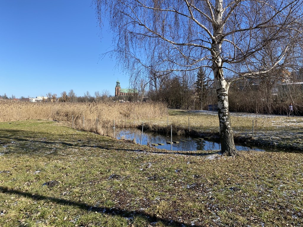 jezioro jelonek gniezno jezioro wenecja  - UM Gniezno